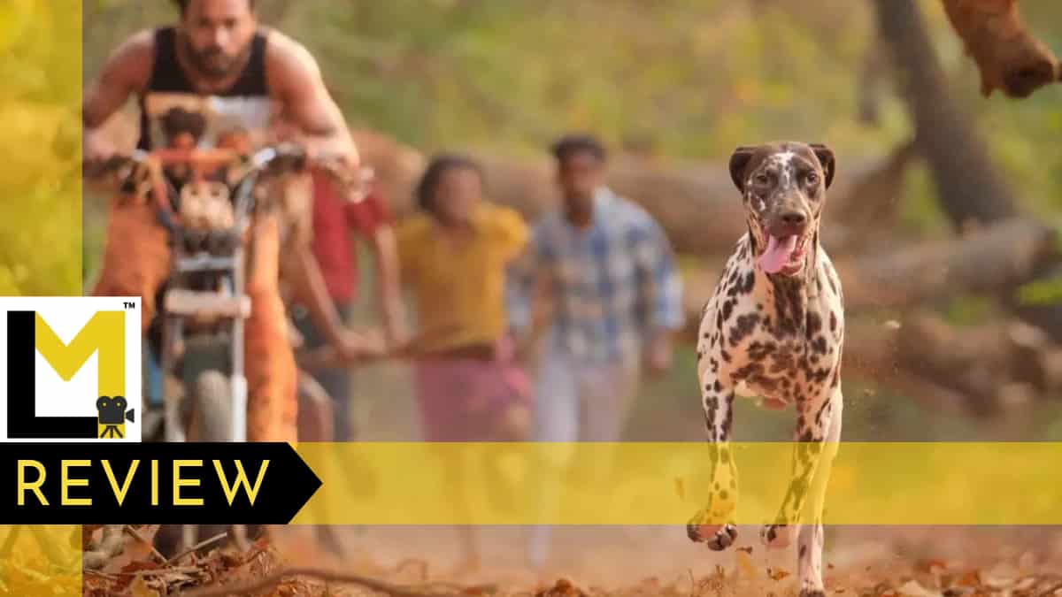 Pennum Porattum Review | Rajesh Madhavan’s Directorial Debut Is a Promising Satire That Works in Patches